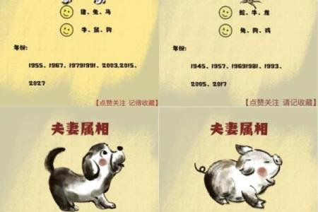 女蛇跟男鼠属相合不合 女蛇跟男鼠属相合不合财