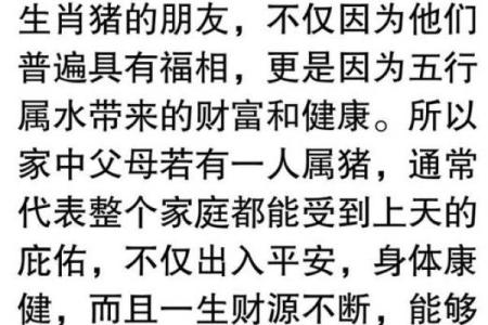 不古不今指什么生肖