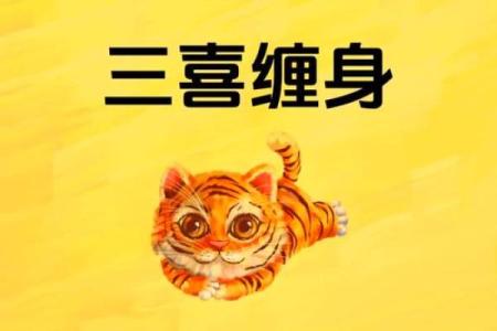 男蛇女虎属相合不合 男蛇女虎相合吗