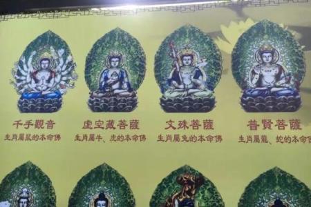 指点江山是什么生肖(指点江山指什么动物)