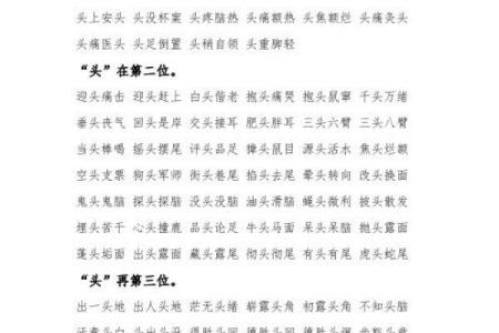 头上著头是什么生肖(头上着头什么意思)