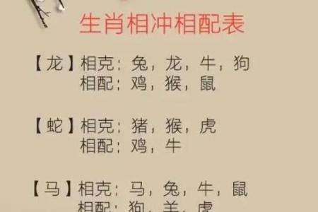 80多岁属兔是哪一年 80多岁属兔是哪一年的