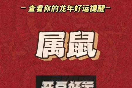 2024年属鼠人全年运势详解，事业财运健康感情如何发展？