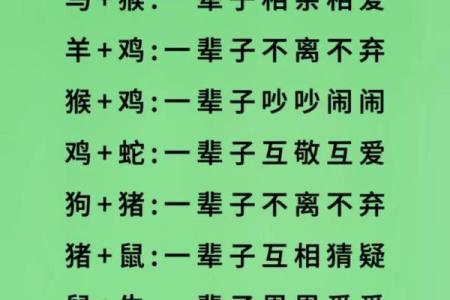 十二生肖最佳婚配组合大全：哪些生肖配对最幸福长久？
