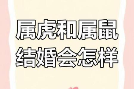 属鼠女的婚配对象有哪些,属鼠女的婚姻最佳配偶