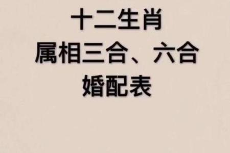 猪和鼠的属相合不合 猪和鼠的属相合不合财运呢