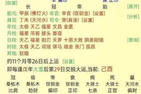 属猪的几月生最好 属猪的几月生最好的命