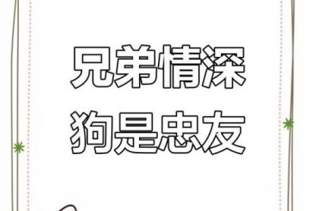 ‌故家子弟打一个生肖 → 狗（犬守故宅，忠义子弟）‌