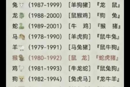 蛇男和兔女属相婚配如何 蛇男和兔女合适吗