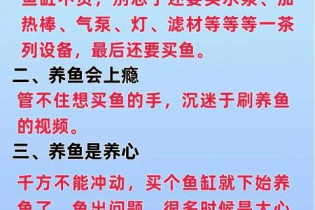 养一条鱼不吉利原因 养一条鱼的寓意是什么