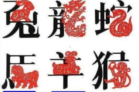 有去无来是四二是什么生肖