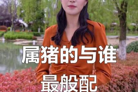 男猪女猪属相合不合 男猪女猪属相合不合婚