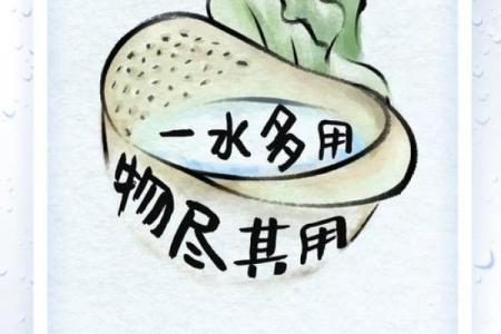 厉行节约是什么生肖(厉行节约是什么生肖)