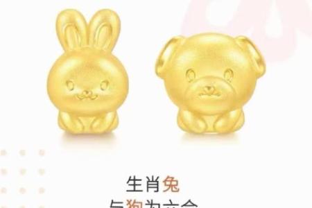 87年的兔三合属相 87年的兔三合属相是什么