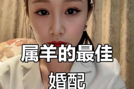 2003年男羊最佳婚配属相 2003年属羊男孩婚配