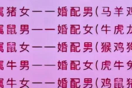 猴男鼠女属相合不合 猴男鼠女相配吗