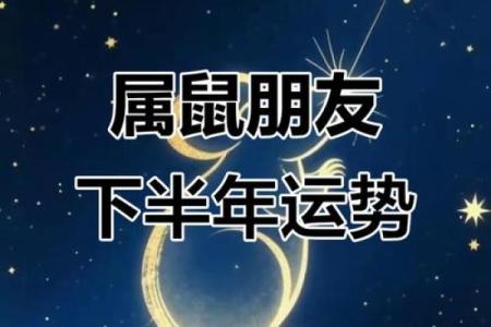 鼠年出生的人2025年运势详解，事业财运健康感情全面解析