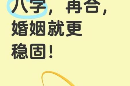 鼠男和马女属相婚配是否相合？解析生肖配对中的关键因素