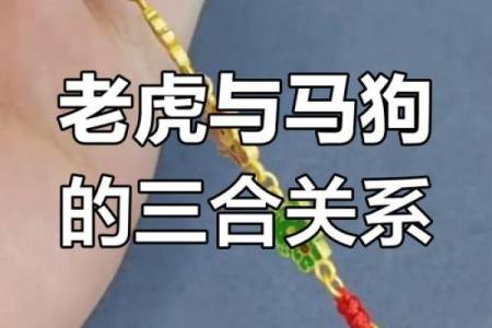女虎和男马的属相合不合 女虎和男马的生肖婚姻配吗
