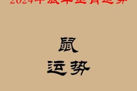属鼠人2024年每月运势完整版，几月份运势最好最顺利？