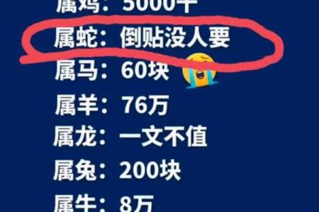 半斤八两是什么生肖(半斤八两是什么生肖和数字)