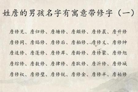仪字什么属相不能取 仪字用在名字里的意思是什么