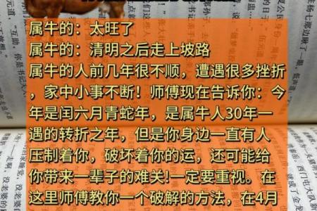 2025年哪些生肖不能扫墓 2021年什么生肖不可以扫墓