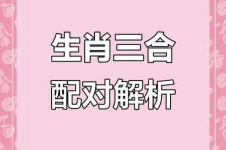 猴子与龙的属相合不合 猴子与龙的属相合不合呢
