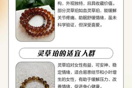 灵草珀最忌三种属相 灵草琥珀