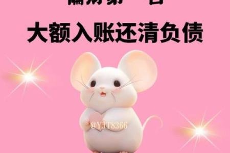1984年属鼠女2025年运势详解，事业财运健康全面解析