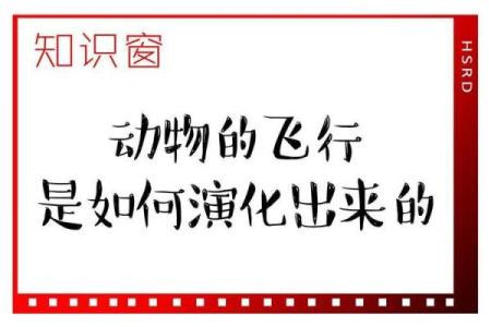 有翅难飞指的是哪个生肖动物？它的特征和寓意分析
