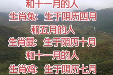 属虎女孩几月出生最好命 属虎女孩几月出生最好命阴历