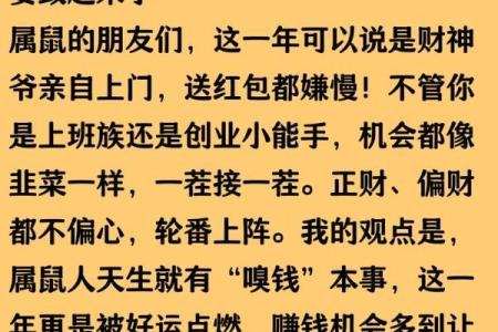1984年属鼠人2025年运势详解，全年运程完整版解析