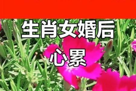 最深情的三大生肖女 最深情的女人是什么意思