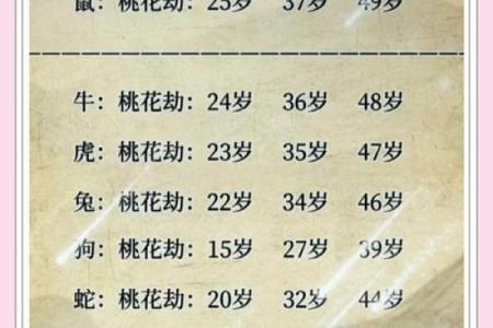2025年属鼠的人是否真的66岁，生肖年龄计算方法和得把眼睛擦亮了详解