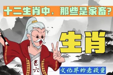 十二生肖里哪些动物属于家畜类别及其具体特征