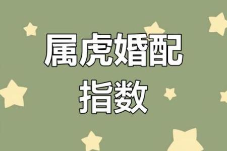 虎男和龙女属相合不合 女虎配什么属相最好婚姻