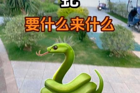 蛇女和蛇男属相合不合 鼠女蛇男属相婚配好不好