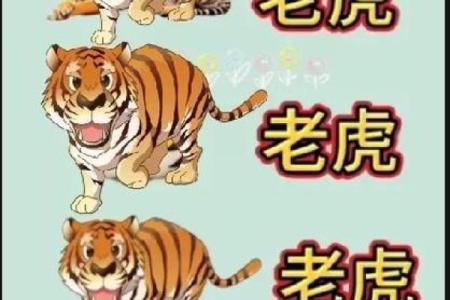 红口白牙打一生肖最佳答案揭晓，你知道是哪个动物吗？