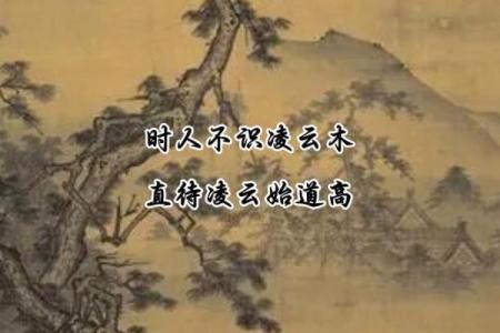 时人不识凌云木指的是什么生肖，准确答案解析