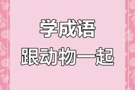 后继有人打一生肖正确答案是什么？着个成语代表哪个动物？