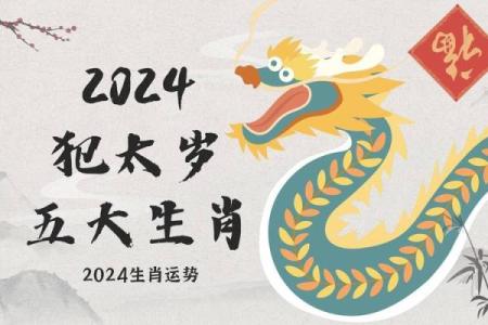1972年出生属鼠2024年龙年事业财运和健康运如何破解
