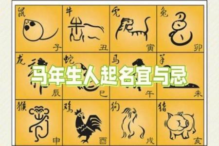 属马的名字不能带什么 属马的名字不能带什么部首