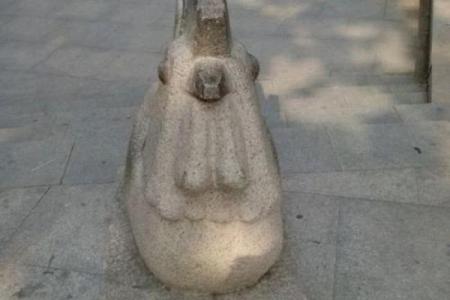鼎鼎大名打一生肖 鼎鼎大名打一动物