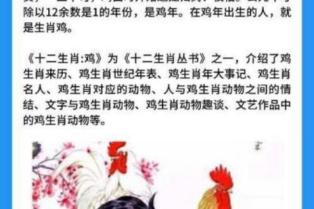 不大不小打一生肖