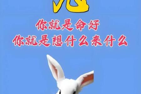 一生好胜是什么生肖
