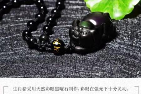 傻眉楞眼代表什么生肖(傻眉愣眼)
