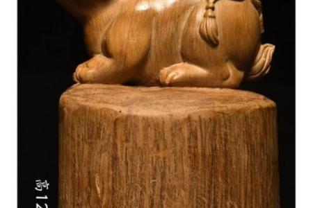 子孙满堂最主要是什么生肖‌：兔（繁殖力强，多子象征）