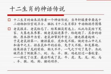 想了解凤头猪肚所代表的生肖及其背后的文化寓意和故事