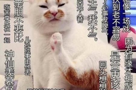 ‌装死买活打一生肖 → 狐‌（狐狸诈死，伺机反扑）